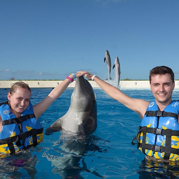 SWIM ADVENTURE Swimming with Dolphins