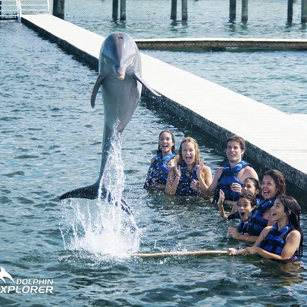 FUNTASTIC Swimming with Dolphins